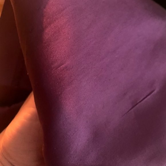 Alfred Sung Italian Plum Color long formal dress - Picture 6 of 6